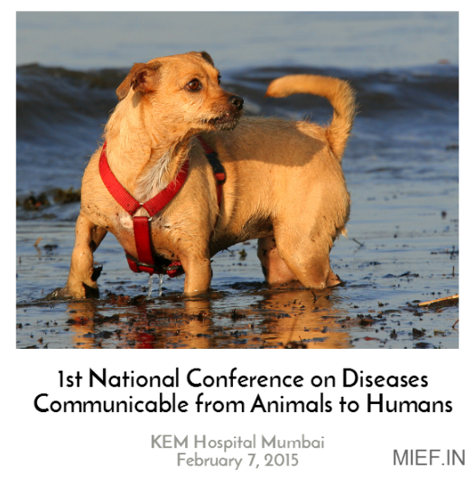 national conference on diseases communicable from animals to humans zoonosis mief